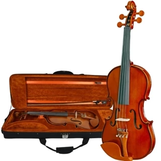 Violino Eagle Ve441 4/4 Com Case Luxo em Oferta na Shopee