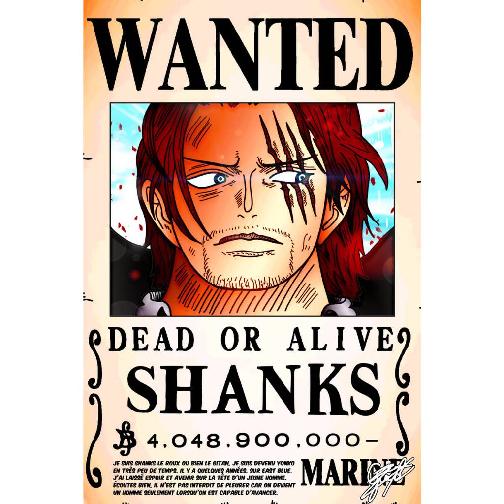 One Piece Placa Poster Decorativa em Adesivo Procurados 30x20 cm