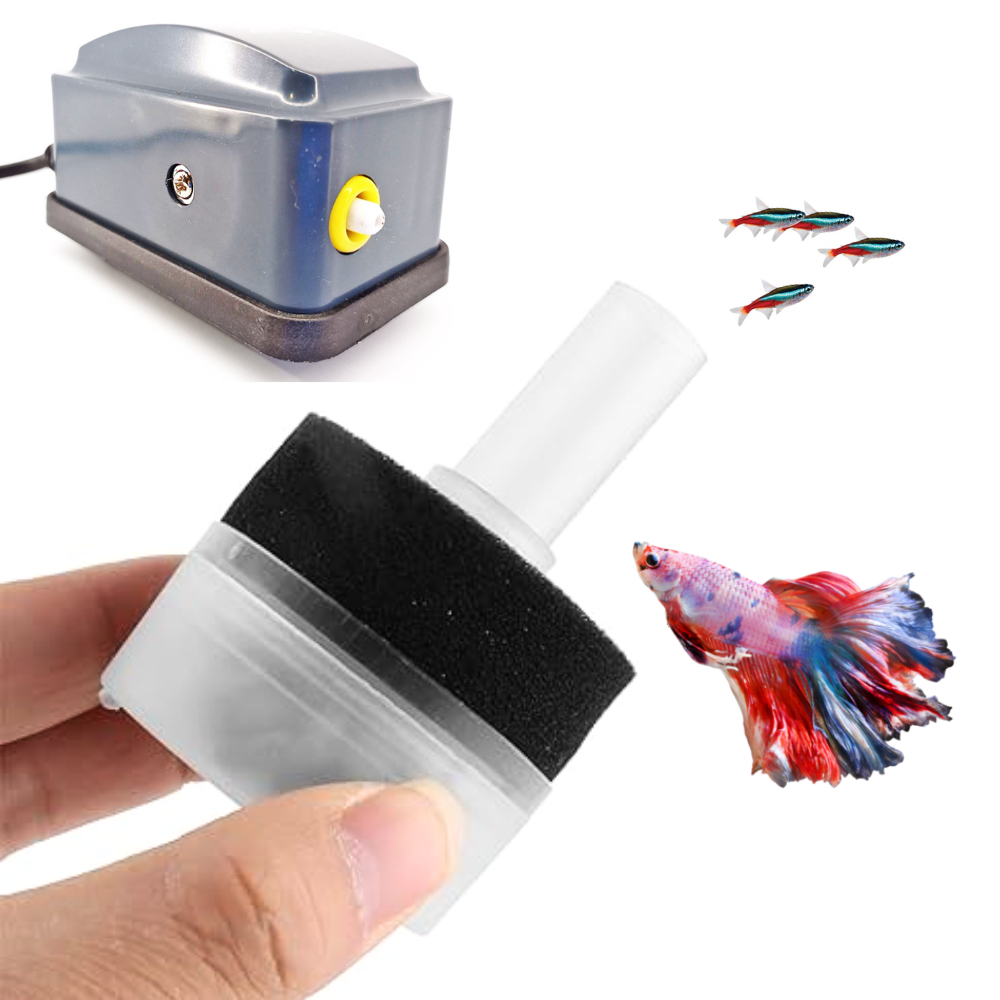 Filtro para aquario pequeno e betta - Kit com compressor de ar e ...