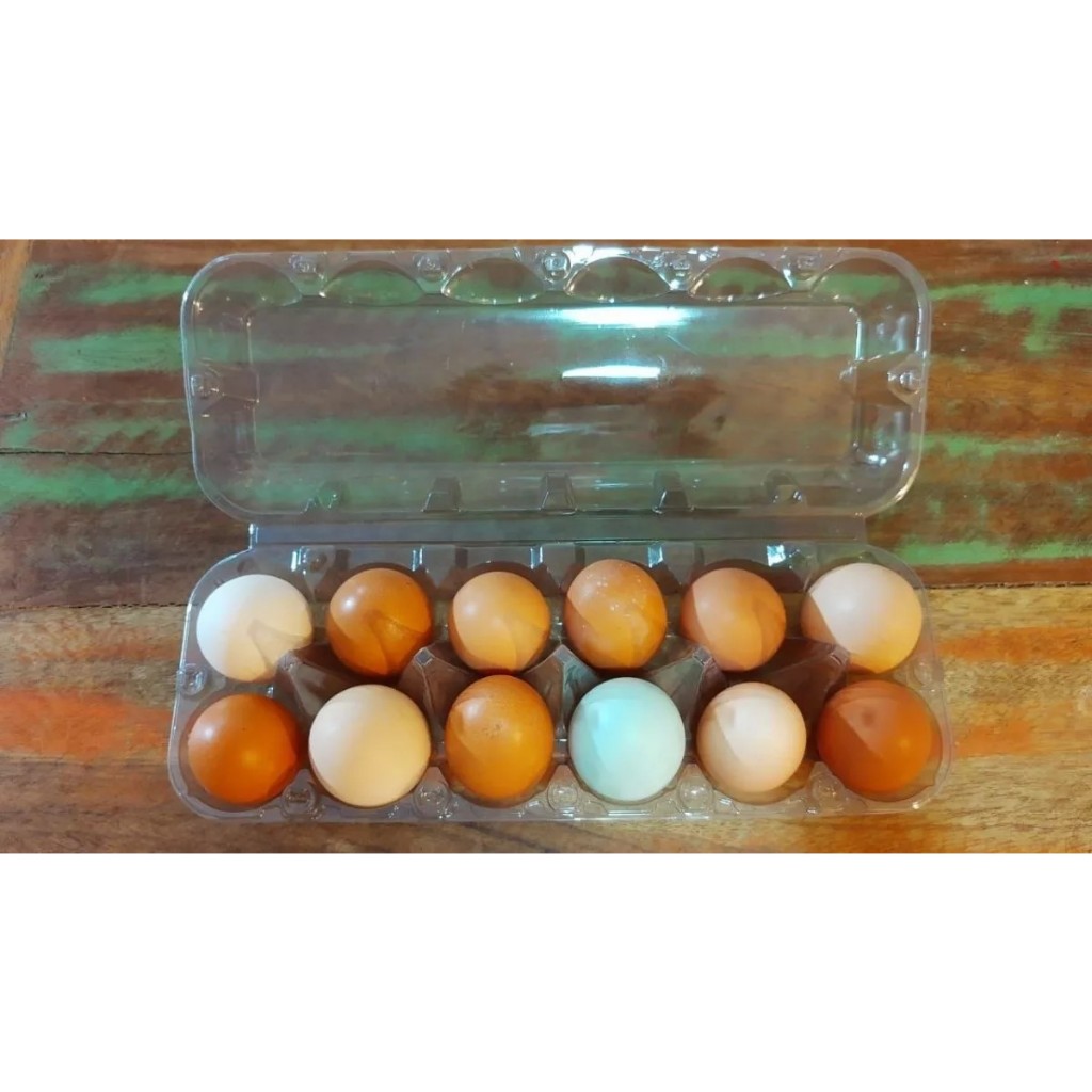 Pente para 12 ovos de galinha (50 cartelas)