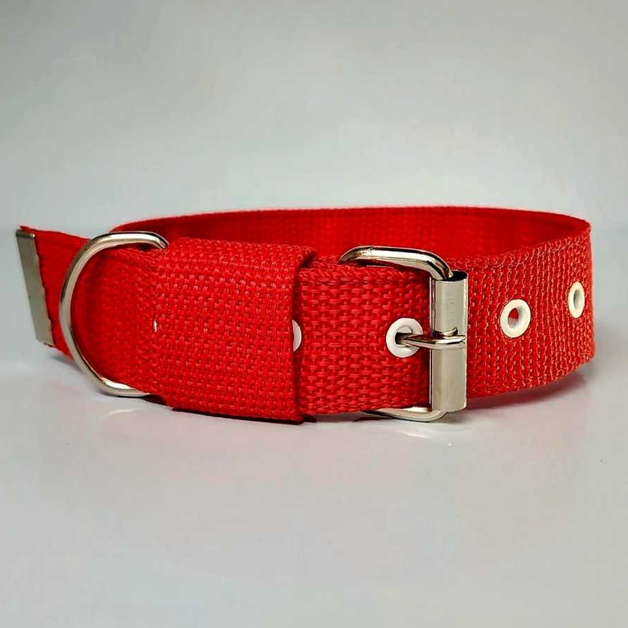 Coleira Nylon Dupla Pet Cachorros - Fita 3 cm