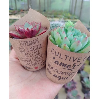 150 rótulos e 150 tags para lembrancinha de suculentas. Embalagem cachepôs para planta, vasinho presente casamento batizado aniversário