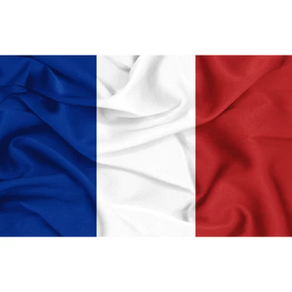 Bandeira da França 1,00m x 70cm em tecido