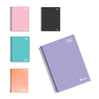 CADERNO PEQUENO CAPA DURA ESPIRAL 96FLS PASTEL OU PRETO