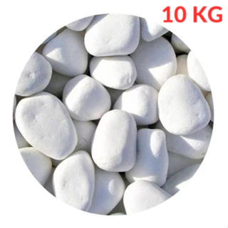 Pedra Branca Dolomita 10Kg seixo Para Decoração de Vaso Jardim Ornamentais - nº 3