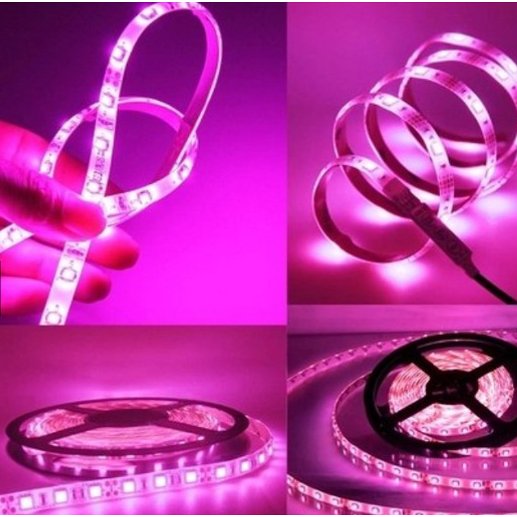 Fita Led ROSA 5050 5 Metros com Silicone Ip65 iluminação led para ...