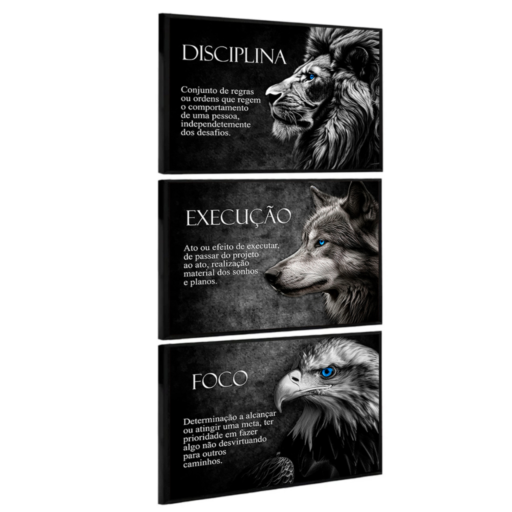 Quadro decorativo disciplina foco execução kit 3 peças significados