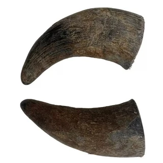 Chifre De Boi Bruto Natural para Cães Artesanato