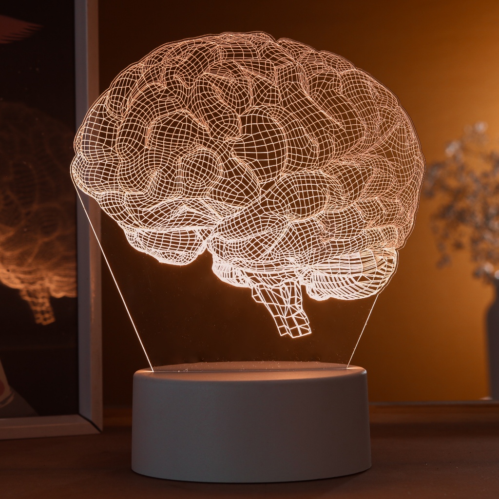 Luminária LED 3D de Mesa / Luz Noturna / Presente Criativo - cérebro realista 3D, neurologista