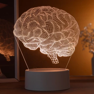 Luminária LED 3D de Mesa / Luz Noturna / Presente Criativo - cérebro realista 3D, neurologista