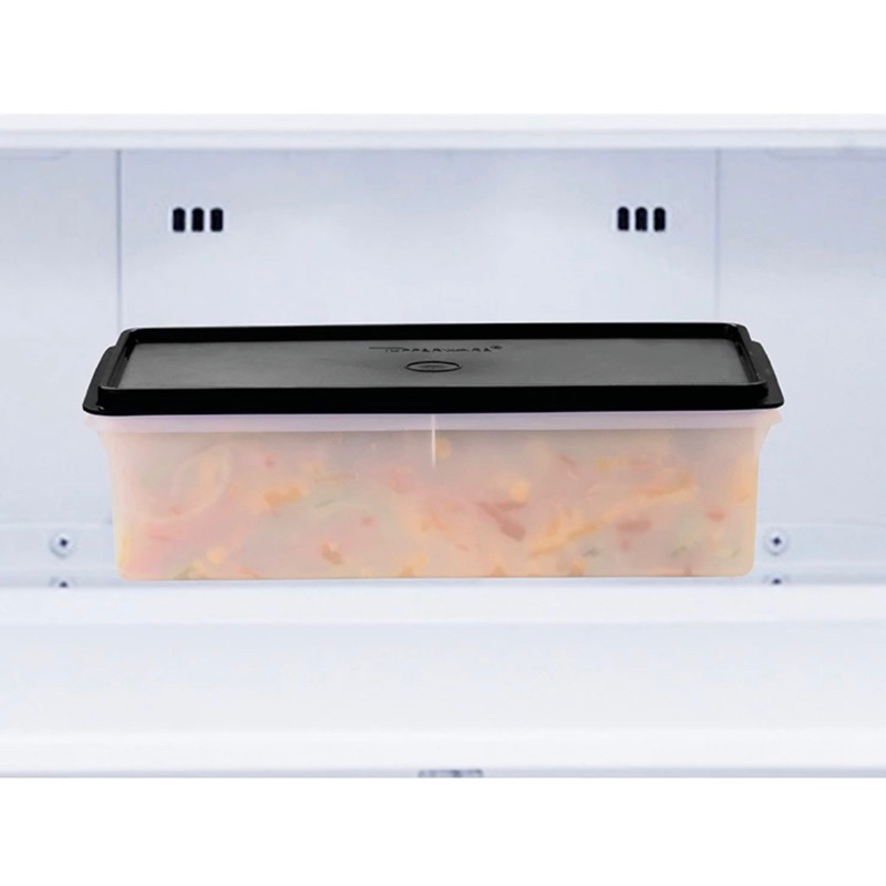 Caixa Freezer 6 L Tupperware Completa OU Acessórios de Reposição