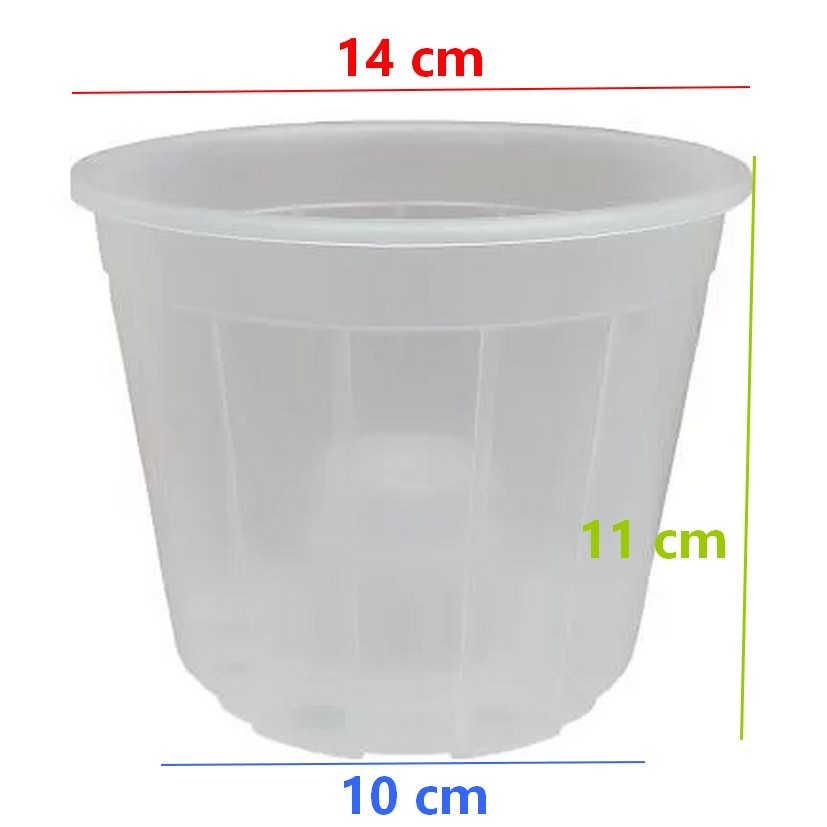 Vasos Para Orquídeas Cone Pote 15 Plástico Transparente 10 Und - VF