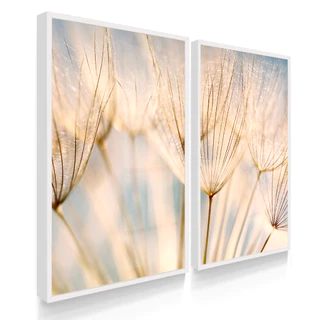 Quadros Decorativos Com Moldura Ou Vidros Dente de Leão Claro Leve