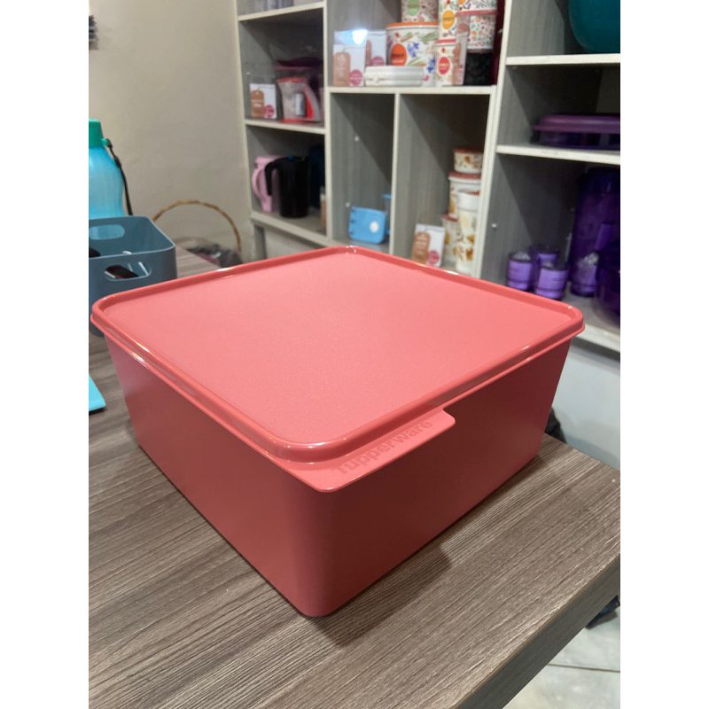 Basic Line Tupperware Rosa Classic | 160ml + 500ml + 1,2L + 2,5L + 5L ...
