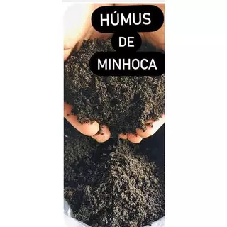 Humus de Minhoca