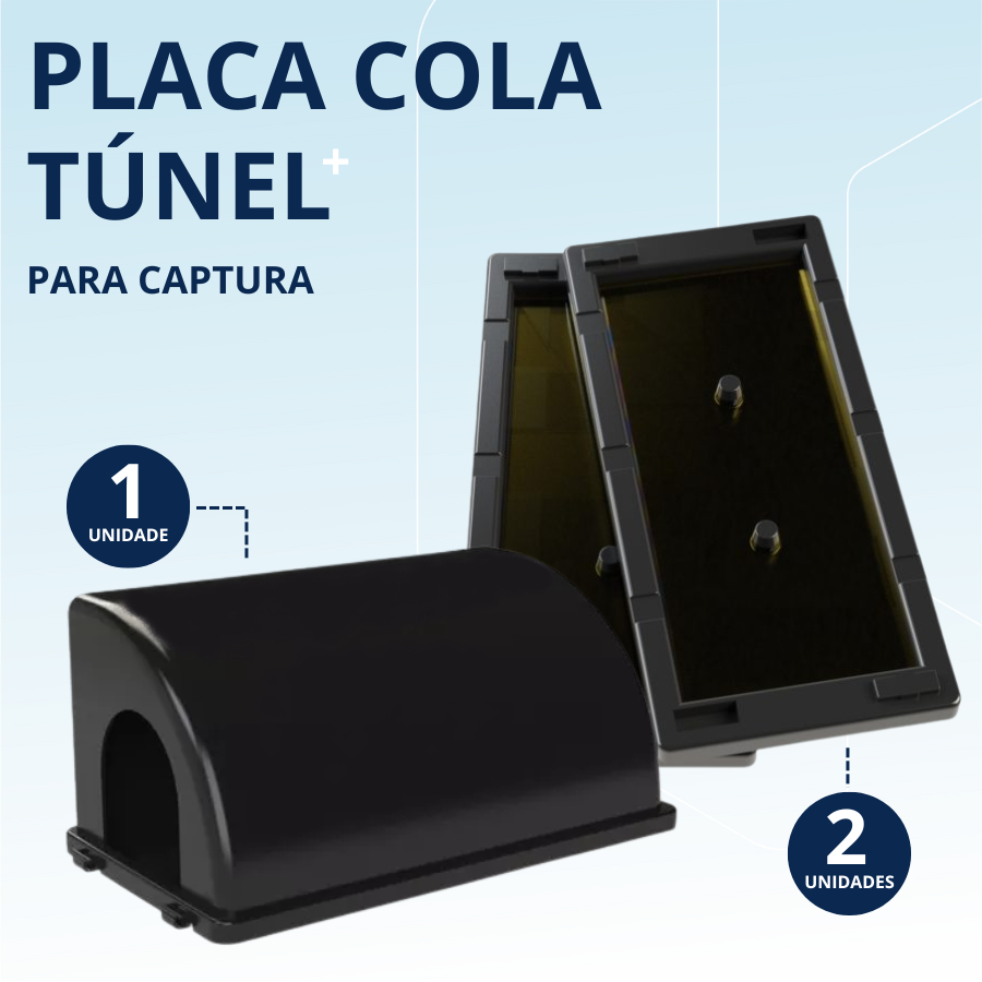 Casinha Captura Ratos Roedores Eficaz Biológica + 2 PLACAS