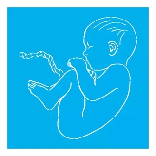 Stencil Gestacional - 30x30 - Ref 9960