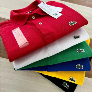 Camisa Polo MD chefe Slim Fit Alta qualidade 100% Algodão Femenino & Masculino Manga curta Sport Life - Compre já