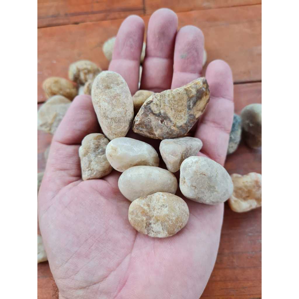 Pedra Natural Seixo De Rio Lavado Médio de 5KG / 9,5KG / 20KG | Shopee ...
