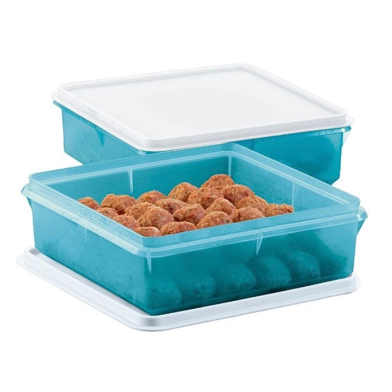 Caixa Versátil 2,5 L Tupperware | Shopee Brasil