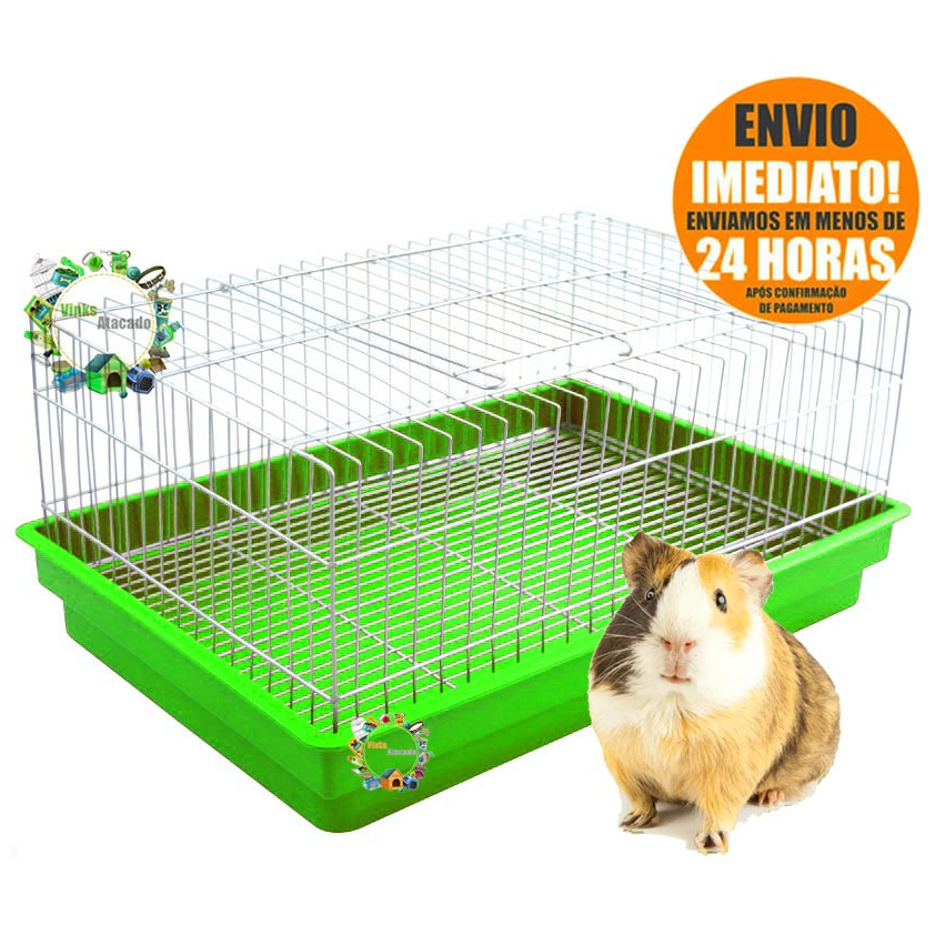 Gaiola GRANDE Para Porquinho Porco da Índia Mini Coelho Pequeno ...