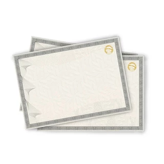 Diploma em Papel Moeda Cinza c/ Brasão Hot Stamping Dourado 5 Folhas