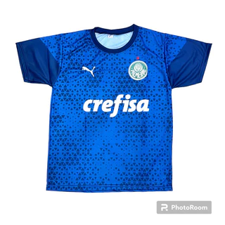 camisa do palmeiras nova (treinador)