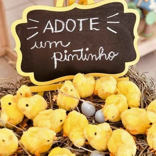 Kit 15 Pintinho Amarelinho Pula Clássico Pelúcia Infantil Crianças Decoração Aniversário Lembrancinhas Brindes Festas Fazendinha