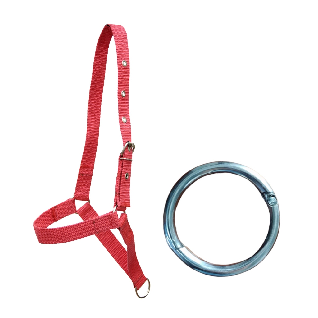 Kit Argola Para Sepito Nariz Venta De Boi Vaca E Cabresto De Fita ...