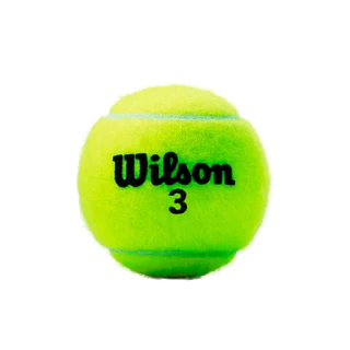 Bola De Tênis Wilson Championship - Unidade - Bolinha Avulsa - Fisioterapia - Alongamento - Cães Pet