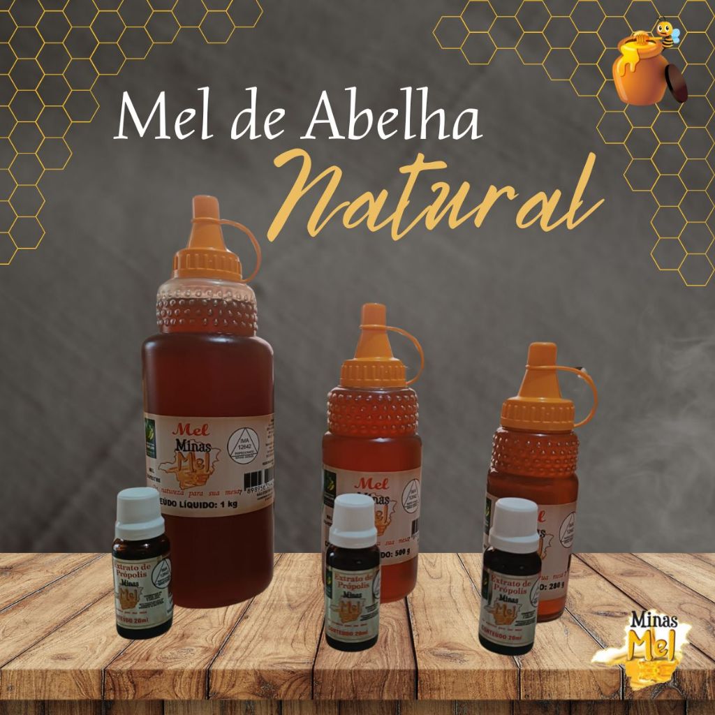 MEL de Abelha PURO 100% Orgânico Totalmente Verdadeiro - Direto da roça ...