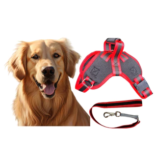 Coleira + Guia para Cachorro Porte Grande e Médio Peitoral Pastor Alemão Labrador Pitbull Golden Dogue American Cane Corso Fila Akita Husky Dálmata Chow chow