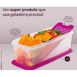 Super Caixa 4,3 Litros Tupperware Completa OU Acessórios de Reposição
