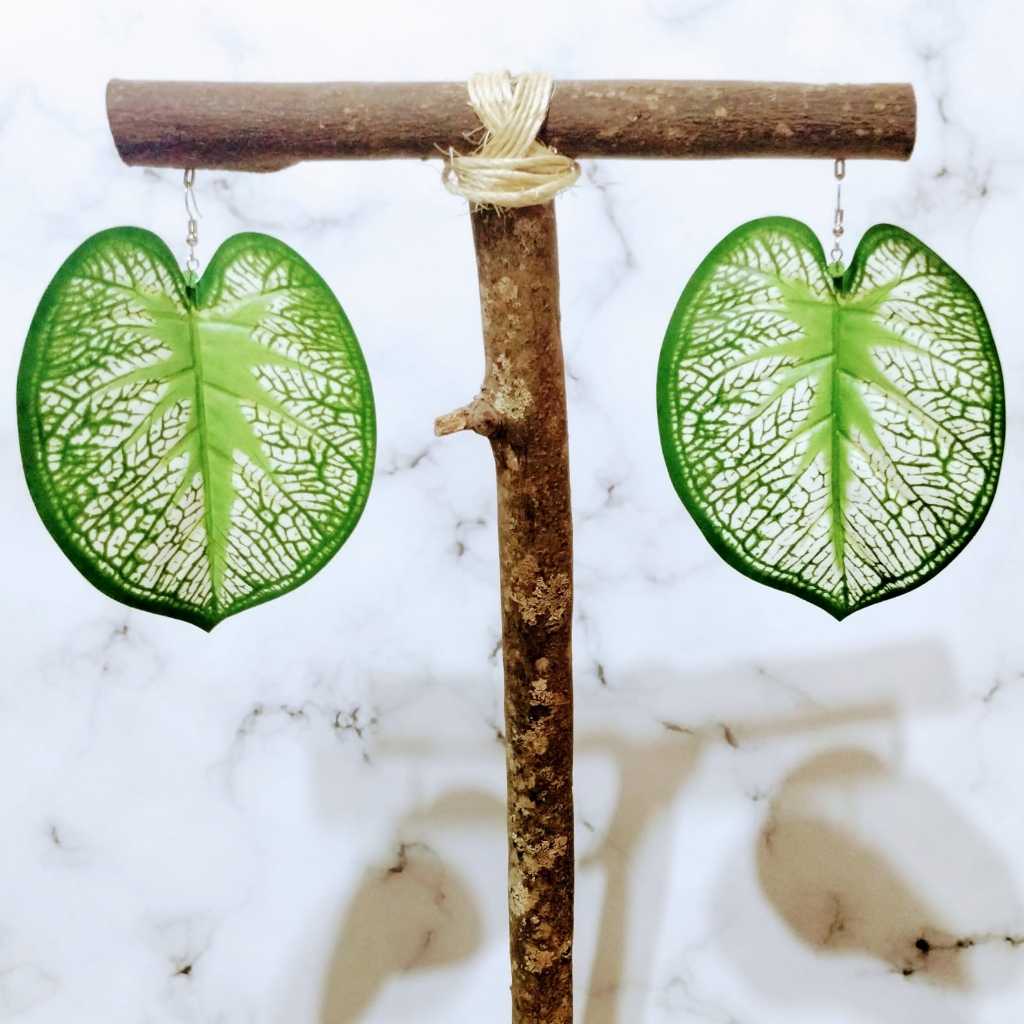 Brinco Folha de Tinhorão (Par de Brincos) (AM0126) Shopee Brasil