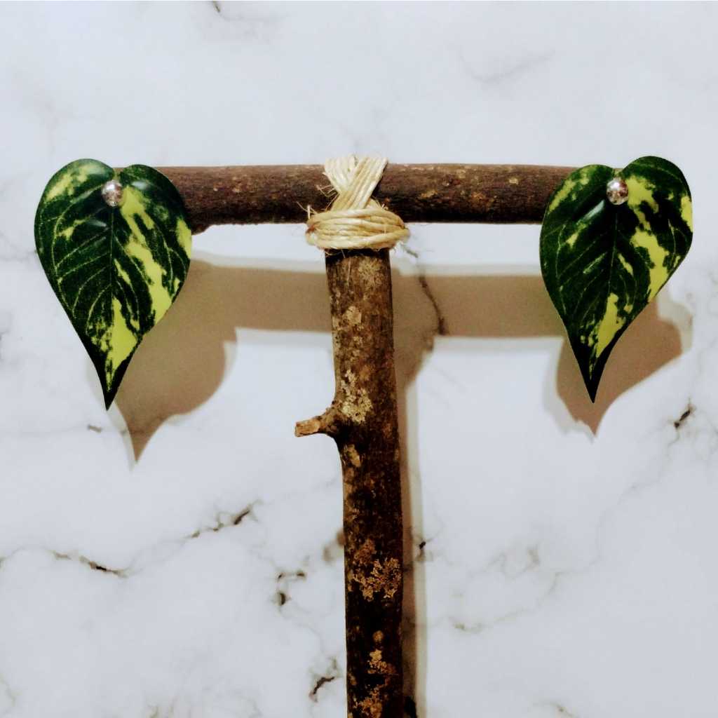 Brinco Folha de Jiboia (Par de Brincos) (AM0129) Shopee Brasil