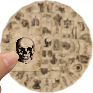Stickers Caveira Esqueleto Desenhos Anatomicos Anatomia Vintage Funebre Gotico Medicina (Até 50 stickers aleatórios)