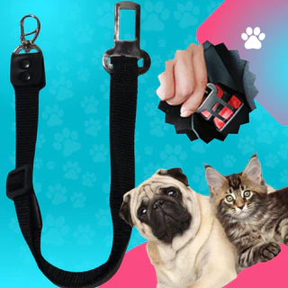 Cinto Para Cachorro No Carro, Cinto De Segurança Para Cachorro E Gato Porte Pequeno Animal Estimação