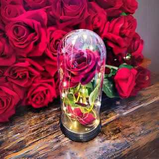 Luminária A Rosa Encantada A Bela e A Fera / O Pequeno Príncipe Amor Lindo Boutique Luzes de Fadas Inspirada Lumi M
