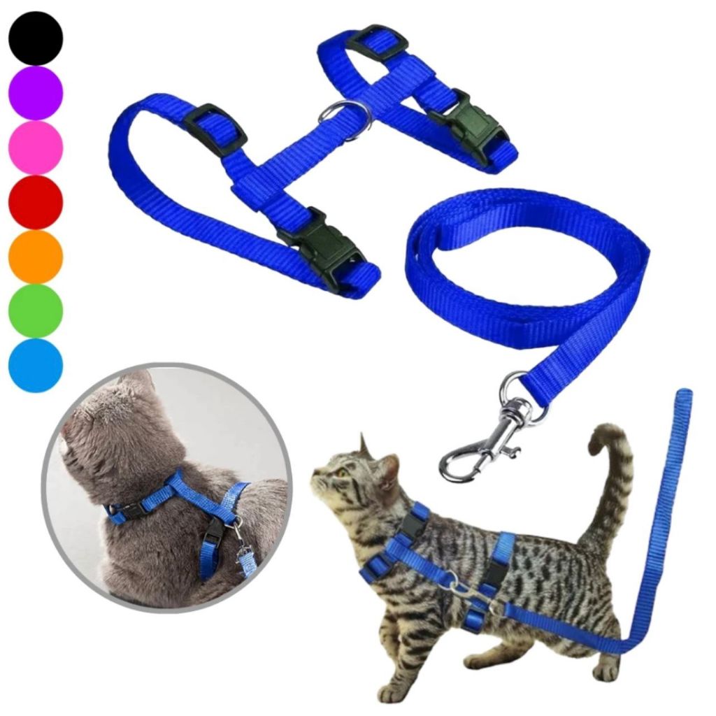 Coleira Peitoral Gato Gatinho Pet Acessorio Com Guia Top Ajustável