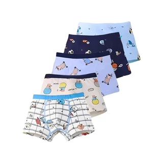 Kit 5 Cueca Infantil Box Shortinho Menino 100% Algodão Cotton Confortável Cuecas Criança Boxer Estampas Sortidas