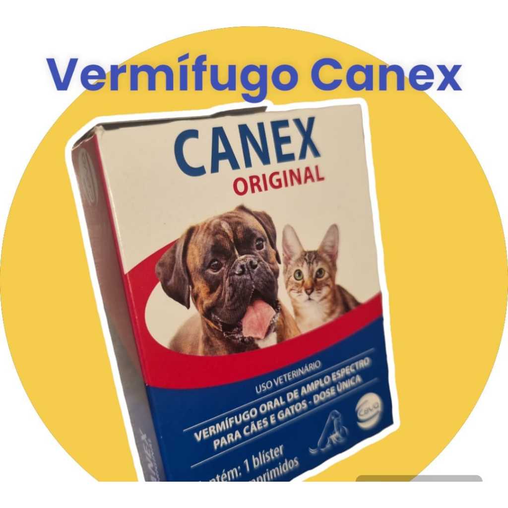 Canex Original vermifugo para combate vermes em cães e os gatos caixa ...