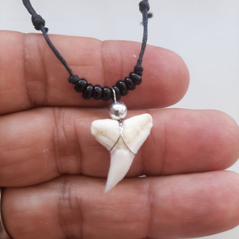 Colar dente tubarão cordão regulável