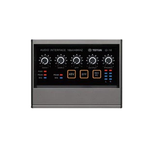 TEYUN Q-16 Placa de som de áudio profissional com monitor de guitarra eléctrica para gravação em direto para interface de estúdio Canto