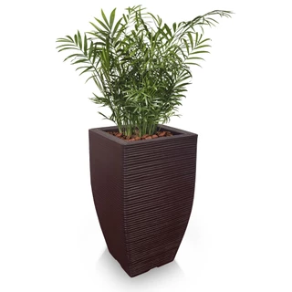 Vaso De Planta Decorativo 60x38 P/ Flores Natural Artificial Design Moderno Polietileno Plastico T