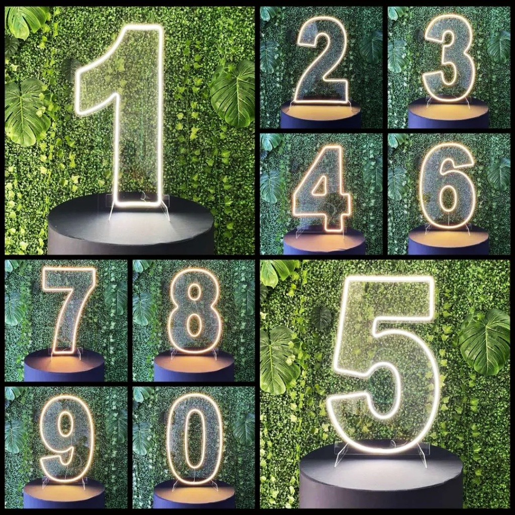 PAINEL LUMINOSO EM ACRÍLICO E LED NEON NÚMEROS 0 AO 9 FESTAS | Shopee ...