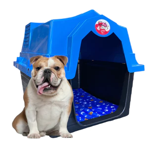 Casa Casinha Plastica cachorro numero 4 + colchao