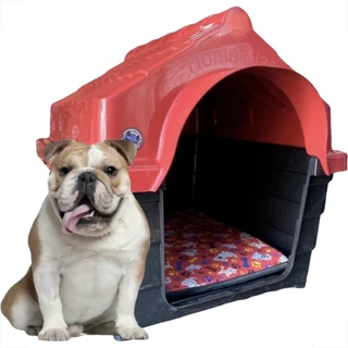 Casa Casinha Plástica Cachorro Número 4 + colchonete