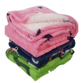 Cobertor Infantil Coberdrom Para Bebê Manta Soft Sherpa Estampada Dupla Face 50% Off