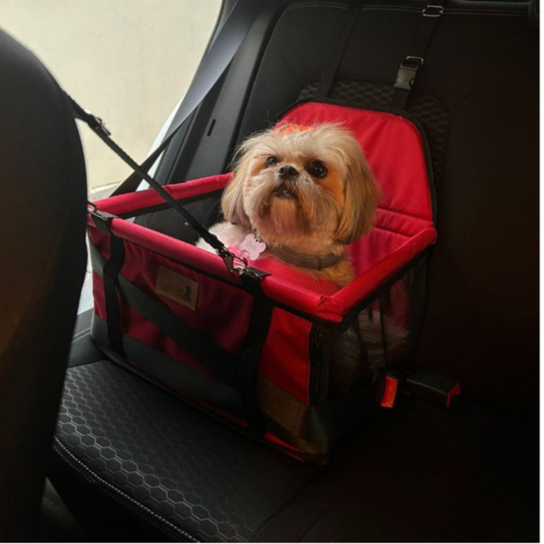 Cadeirinha Cadeira Assento Pet de Carro para Cães Cachorro, gatos- Transporte