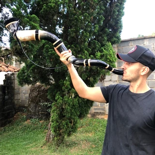 Berrante grande som profissional de chifre de boi natural com emendas e correia de couro legitimo
